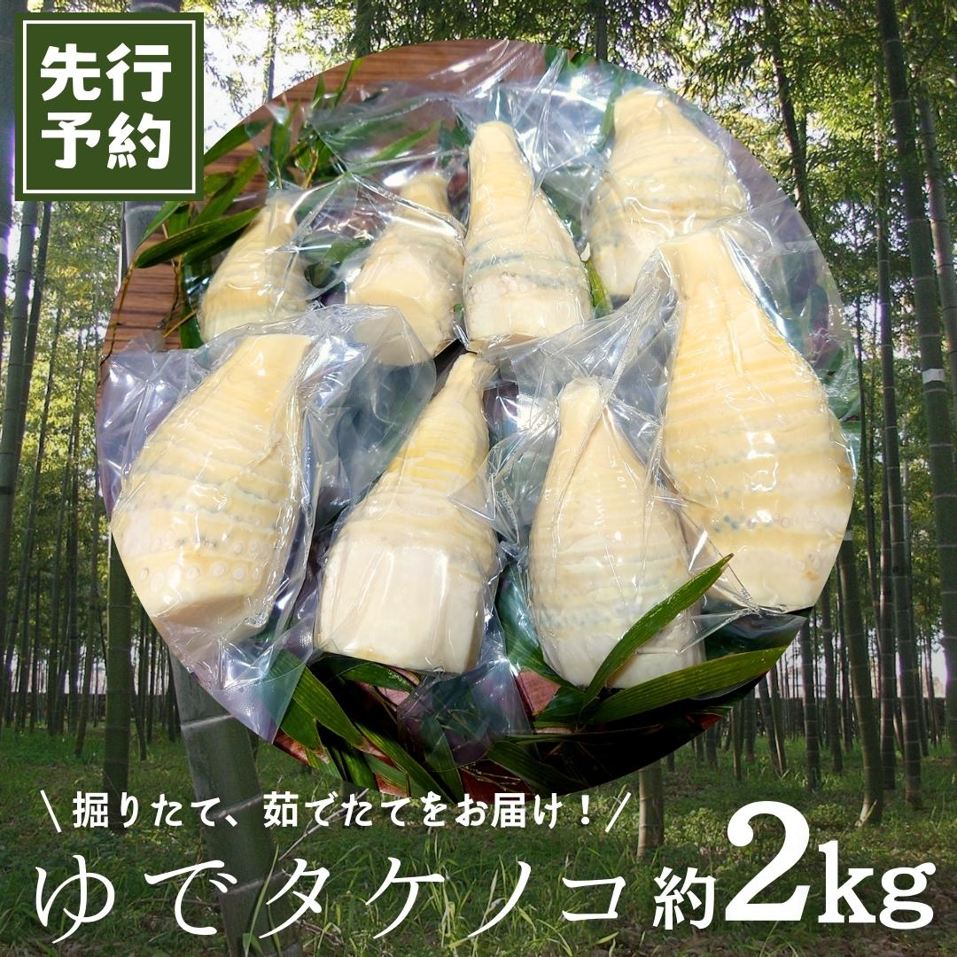 《 先行予約 》 新鮮な ゆでタケノコ 約2kg 竹の子 2キロ 筍 たけのこ 水煮 真空パック 国産 たけのこご飯 【2025年4月上旬以降発送】