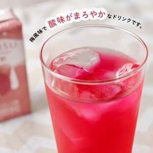 サンA 紅酢［機能性表示食品］紙パック 48本【飲料 ガラクトオリゴ糖 ビフィズス菌 腸内環境 便通改善 酢 紅酢】