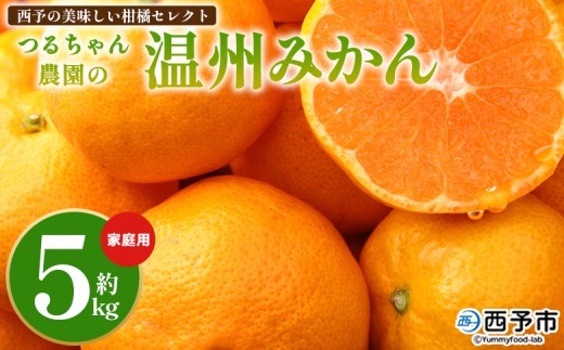 【予約受付】＜西予の美味しい柑橘セレクト（ご家庭用）／つるちゃん農園のみかん（約5kg）＞ 【11月頃から2027年1月中旬頃までに順次出荷予定】果物 くだもの フルーツ 蜜柑 みかん ミカン 柑橘 ご家庭用 温州みかん 食べて応援 国産 愛媛県産 特産品 西予みかん倶楽部 愛媛県 西予市【常温】