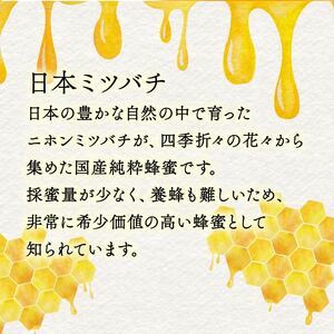 蜂蜜 百花蜜 日本ミツバチ 150g×2本  蜂蜜