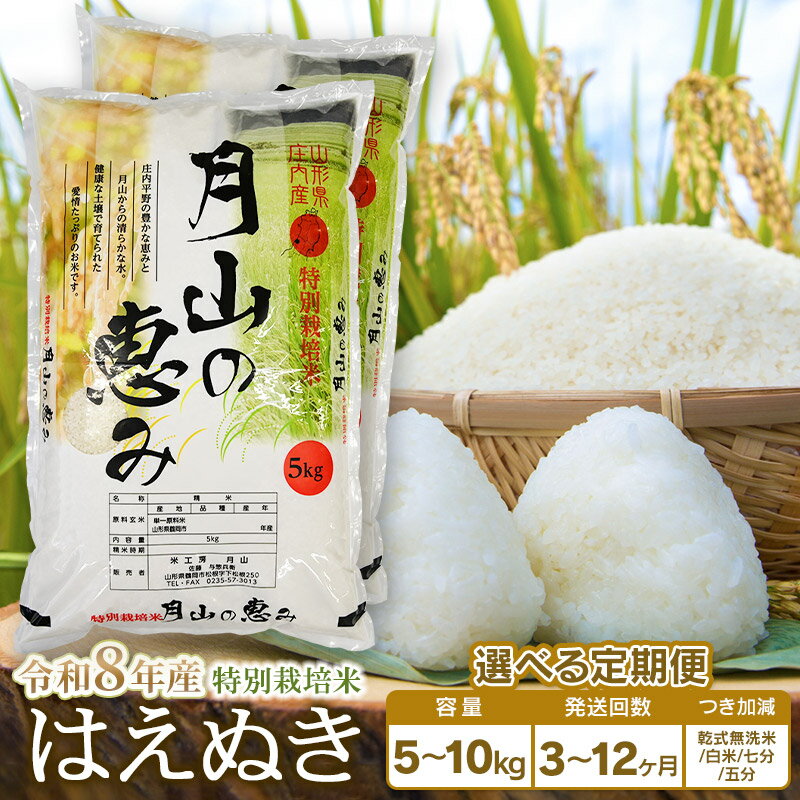 【ふるさと納税】【令和8年産先行予約】定期便　特別栽培米 はえぬき 選べる容量（5kg・10kg）・発送回数（3・6・12回） 毎月1回中旬発送 | 山形県 鶴岡市 お米 コメ おこめ 5キロ 白米 精米 無洗米 5分づき 7分つき 分つき ブランド米 美味しい