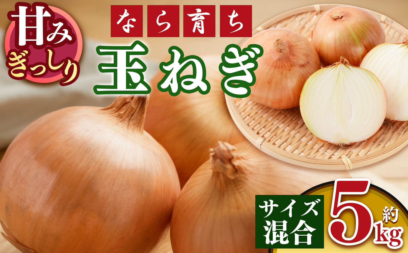 
            【令和7年分 先行予約】【なら育ち】玉ねぎ約 5kg サイズ混合｜ヤサイ 野菜 やさい 玉葱 玉ねぎ たまねぎ 奈良県 五條市 5キロ
          