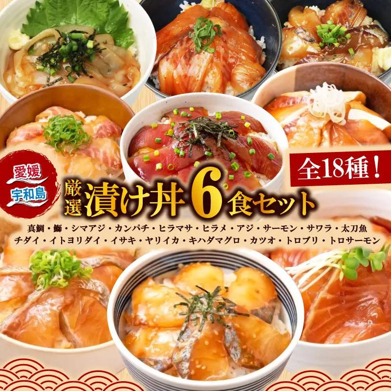 【漬丼】漬丼厳選活締め6食(アジ、イサキ等)南予ビージョイ|D012-150019