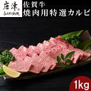 【ふるさと納税】佐賀牛 焼肉用特選カルビ 500g×2パック(合計1kg) タレ付き 牛肉 焼き肉 BBQ バーベキュー アウトドア ギフト「2024年 令和6年」