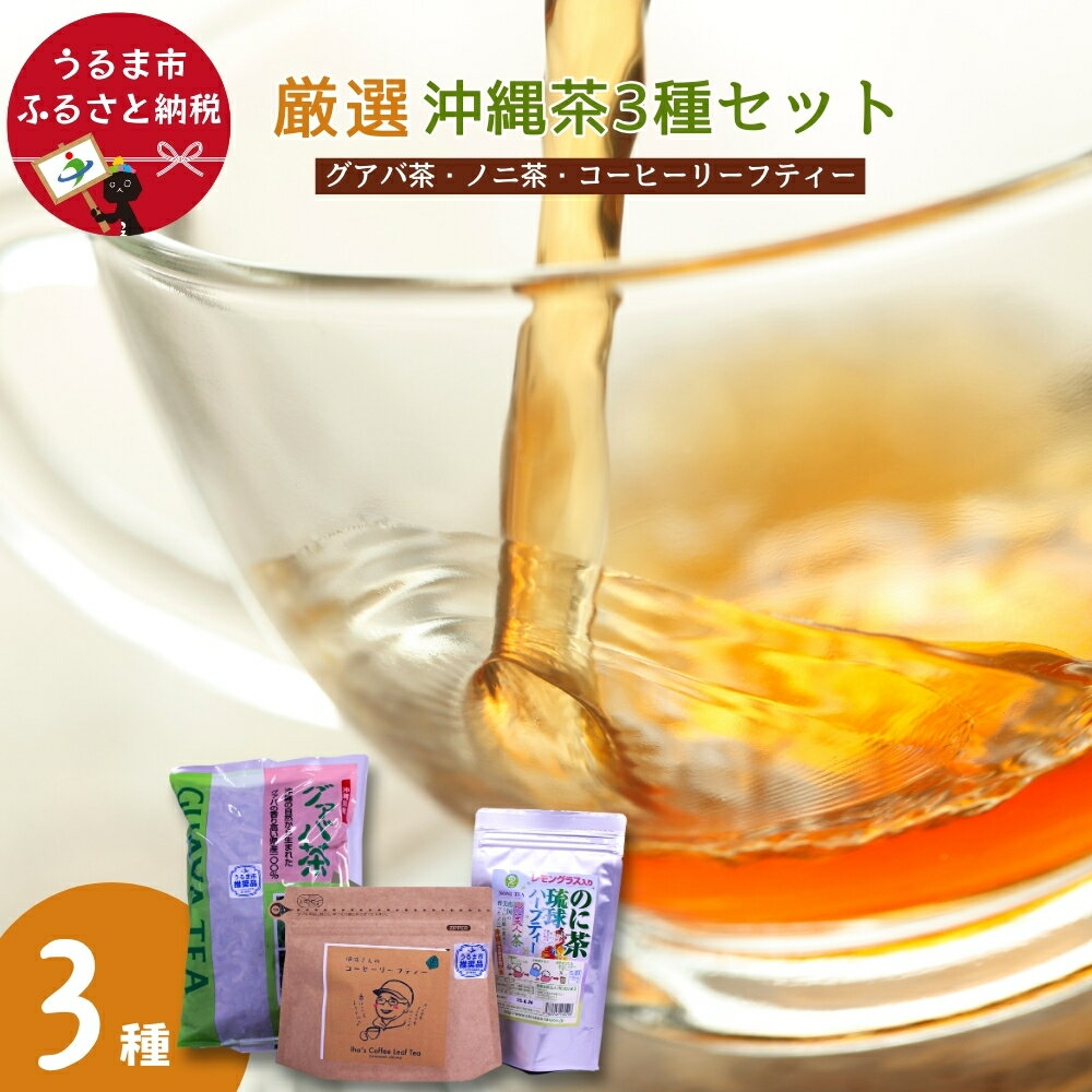 【ふるさと納税】厳選沖縄茶3種セット【グァバ茶・のに茶・コーヒーリーフティー】
