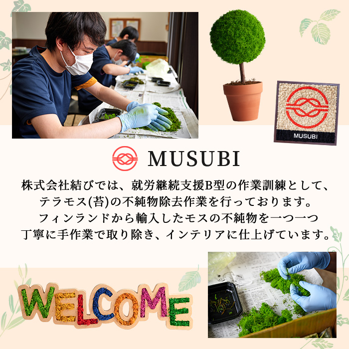 モスインテリア「WELCOME」(フクシャ) ＜横300mm・高さ80mm・幅15mm＞ 観葉植物  苔 コケ テラモス インテリア 植物 【結び】 sh027-A