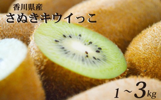 
                  【11月上旬から12月下旬の間で順次発送】 一口サイズ！ さぬきキウイっこ 約1kg 約1.4kg 約2kg 約3kg 香川県産 キウイっこ キウイ キウイフルーツ 果物 ふるさと納税キウイ 香川県 丸亀市
                