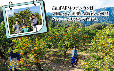 ＜先行予約＞ポンカン【贈答用】5kg　HT13 [H-09] 【畠口FARM（畠口　佳養）】