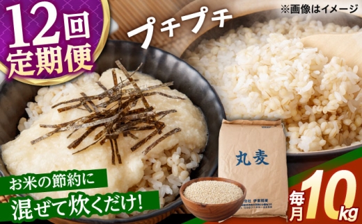 もち麦よりも『ぷりっ』とした弾力 【12回定期便】長崎県産 丸麦 10kg / 麦 むぎ 雑穀 雑穀米 麦ごはん 麦飯 麦みそ 食物繊維 長崎県産 米 こめ コメ ※ / 諫早市 / 有限会社伊東精麦 [AHBU008]