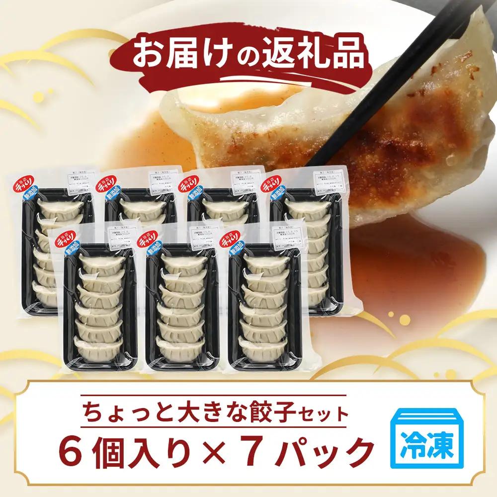 鹿児島県産 ひかり麦豚 ＼＼ちょっと大きな  餃子 42個セット／／ HM-707 | ぎょうざ ギョウザ 食べ応え抜群 焼き餃子 水餃子 おかず お弁当 冷凍 産地直送 鹿児島県 南大隅町 ひかり麦