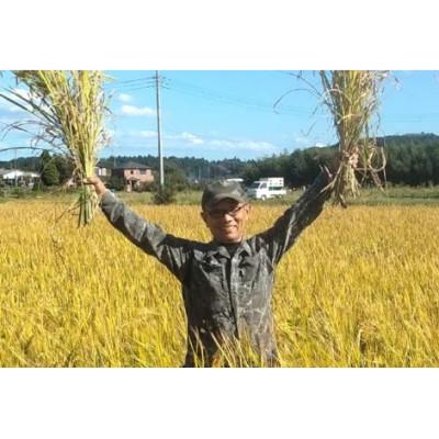 ふるさと納税 石岡市 獅子米 いのちの壱 小分け セット 10kg (2kg×5袋) |  | 02