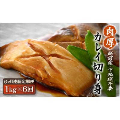 ふるさと納税 越前町 【毎月定期便】【越前海岸・美味直送シリーズ】肉厚!越前産カレイ切り身　1kg入全6回