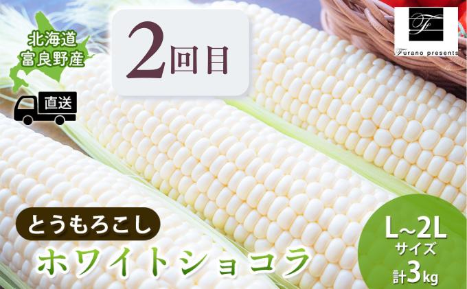 【年3回定期便】【2024年7～10月お届け】高品質 フラノプレゼンツ が贈る 青肉 メロン＆野菜  定期便
