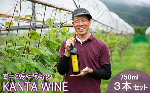 ロースラー ワイン KANTA WINE 2023（赤） 750ml×3本セット 【968】