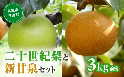 【令和9年産先行予約】二十世紀梨と新甘泉のセット 3kg前後 梨 なし フルーツ 鳥取 高間商店