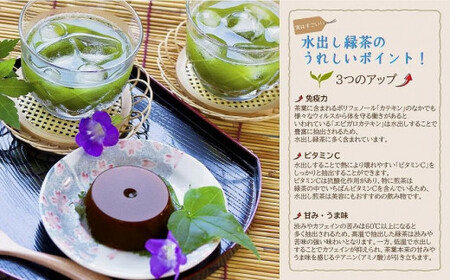 古賀製茶本舗　八女茶の一番茶だけで作った　水出し煎茶ティーバッグ　たっぷり５ｇ×７５個入　072-118