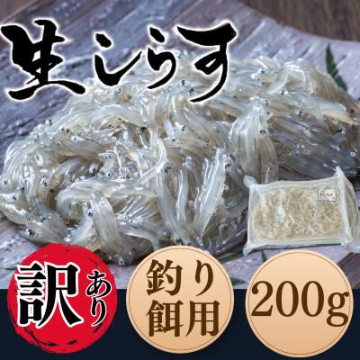 ふるさと納税 南知多町 【船釣りにも最適】知多半島産 生しらす(釣り餌用)200g×1袋|岬だより