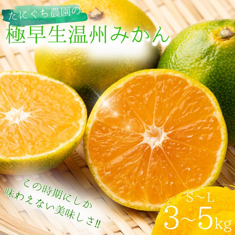 【ふるさと納税】 【先行予約】 ご家庭用 S-Lサイズ 混合 たにぐち農園の極早生温州みかん(マルチ栽培) 3kg～5kg【2025年9月下旬〜10月下旬に順次発送】 / ご家庭用 家庭用 不揃い 極早生 早生 温州 みかん 蜜柑 フルーツ ミカン