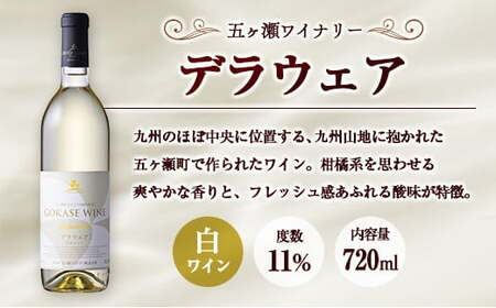 □【大阪屋】宮崎産ワイン　2種セット