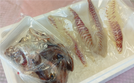 朝〆直送！愛南町産鯛さしみ用切り身（800g＋アラ付き）真鯛 朝〆 直送 新鮮 アラ 冷蔵 愛媛県 朝〆直送 皮引き 三枚おろし 兜 かぶと煮 国産 魚介 特産品 愛南町 魚介類 海産物 鮮魚 養殖 