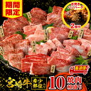 【ふるさと納税】 《選べる発送月!!》 【期間・数量限定】宮崎牛焼肉10種盛り合わせ+合挽きハンバーグ100g×2個 宮崎牛 焼肉 10種 盛り合わせ 食べ比べ モモ ウデ ロース 肩ロース バラ ミスジ ランプ イチボ ヒレ 牛肉 お肉 国産牛 人気 おすすめ《レビューキャンペーン》