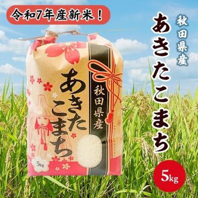 ふるさと納税 潟上市 新米!令和7年産 秋田県産あきたこまち 白米 5kg