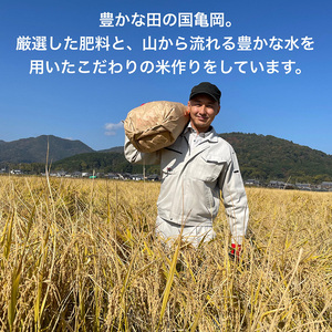米 コシヒカリ 玄米 10kg〈アグリにのうみ〉京都・亀岡産《令和5年産》 京都丹波産 ※着日指定不可※沖縄・北海道・離島お届け不可