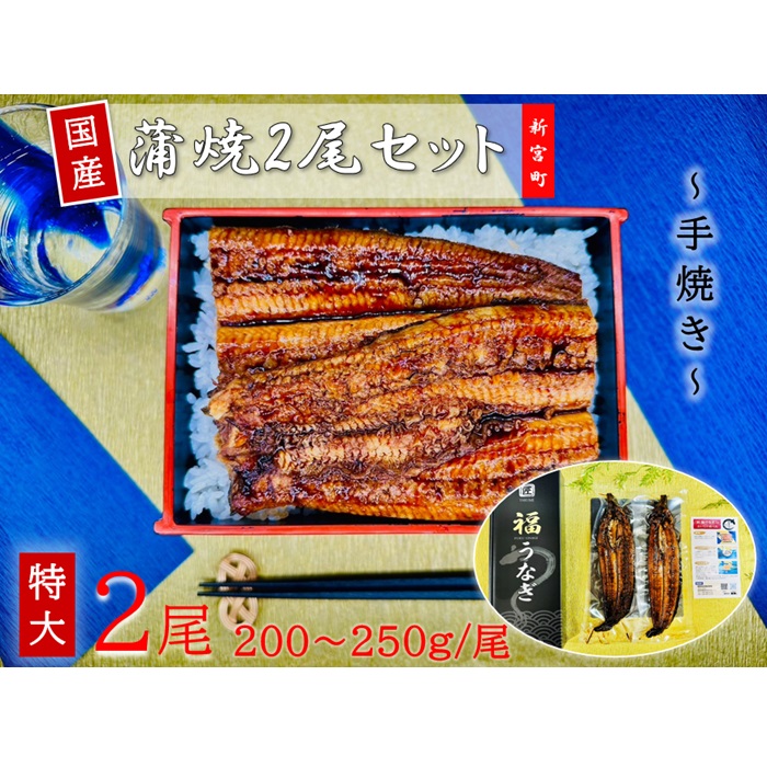 AH073.国産うなぎ蒲焼2尾（計400～500g）
