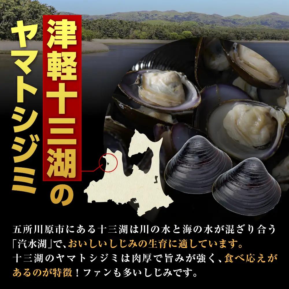 しじみ　貝活源G（ 60g(200粒入)×2箱）とシジミエキス21（100ml×40本）のセット（十三湖産ヤマトシジミ使用）
