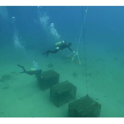 ふるさと納税 瀬戸内町 tlass-20252ndEdition-海底熟成ワイン白・赤・スパークリング750ml×3本 |  | 03