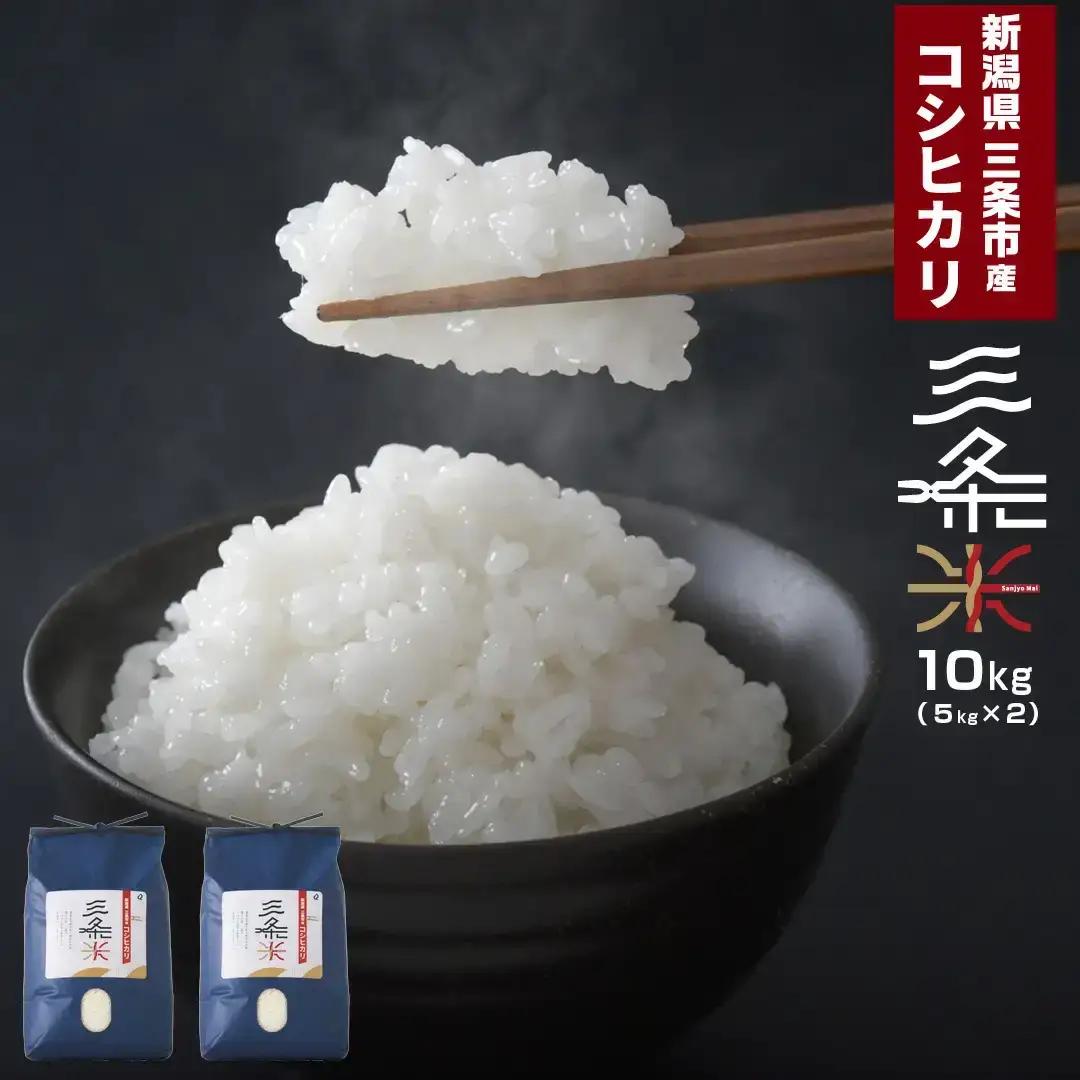 新潟県産 コシヒカリ10kg 令和7年 三条 コシヒカリ