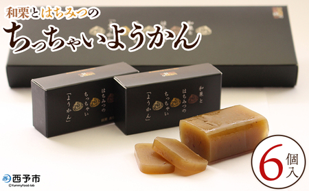 ＜和栗とはちみつのちっちゃいようかん 6個入り＞ 栗 くり 羊羹 ようかん 城川和栗 蜂蜜 はちみつ ハチミツ スイーツ おやつ お菓子 和菓子 ティータイム ひと時 城川ファクトリー 愛媛県 西予市【常温】『1か月以内に順次出荷予定』SSF0032