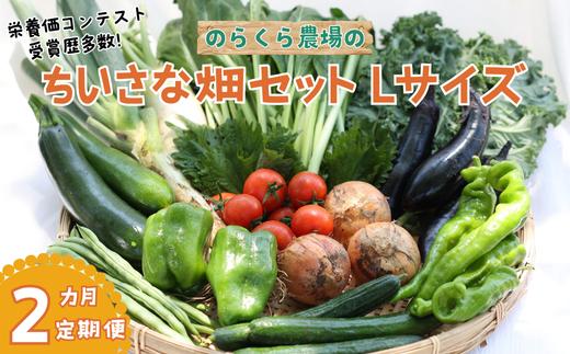 
            定期便２カ月　ちいさな畑セット（Lサイズ　３～４人前）（NK-T505）
          