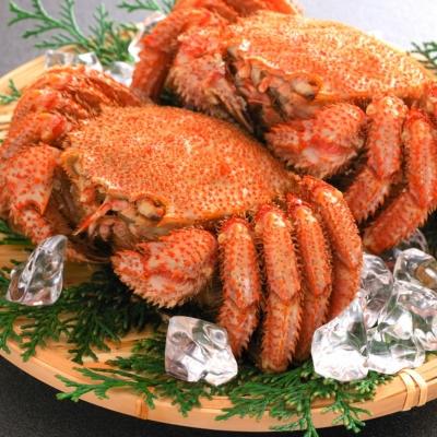ふるさと納税 大槌町 【令和9年発送先行予約】訳あり 三陸産!活毛ガニ 1kg(3〜4杯)【2027年2月〜4月発送】