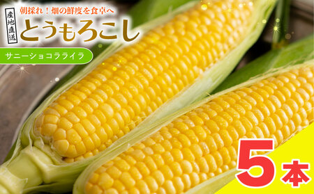 とうもろこし サニーショコラライラ 5本 2kg 先行予約 | とうもろこし