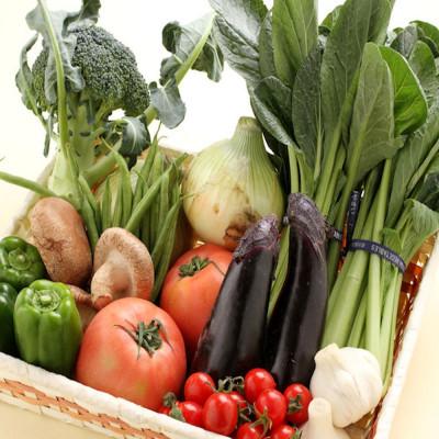 ふるさと納税 印南町 【発送月固定定期便】旬の新鮮野菜セット8種以上【野菜詰め合わせ】全5回 |  | 01