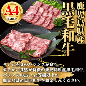 【数量限定】鹿児島県産黒毛和牛A4等級以上肩ロースすき焼き用 (計750g＋黒毛和牛こま切れ250g×1P) 鹿児島県産 牛肉 冷凍 【KNOT】 A809-v01