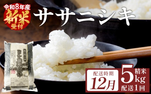 【12月配送】米 令和8年産 （先行予約） ササニシキ 精米 5kg 単品 こめ コメ お米 ご飯 白米 ささにしき