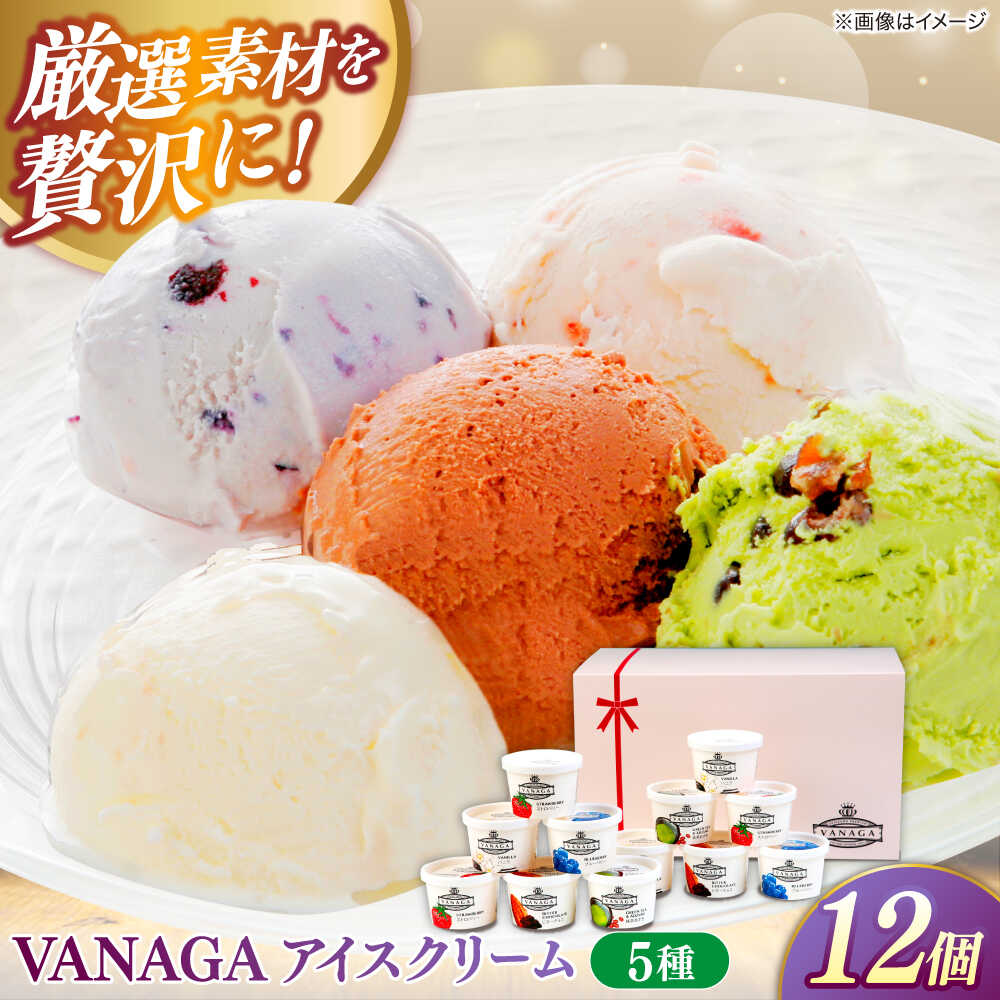 【ふるさと納税】【お中元対象】VANAGA アイスクリーム 5種類×12個 菓子 アイス デザート スイーツ ギフト プレゼント 島根県雲南市/木次乳業有限会社 [AIBH008]