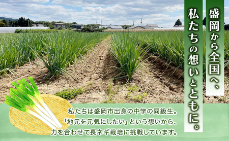 岩手県盛岡市産土付き長ネギ 2kg ねぎ 新鮮 野菜 長ネギ 白ネギ 長ねぎ 白ねぎ 葱 土付き 国産 甘い 美味しい おいしい 鍋