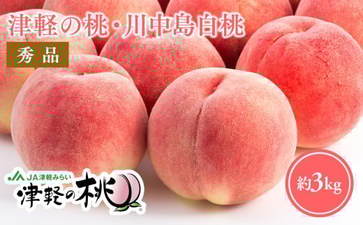 【8月下旬～９月中旬発送予定】津軽の桃　川中島白桃約3kg