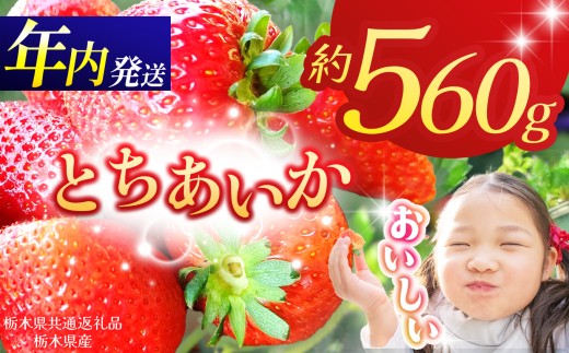 【栃木県共通返礼品】【2026年先行予約】とちあいか 280g×2P| 年内発送 果物 くだもの フルーツ 野菜 やさい ヤサイ 苺 イチゴ いちご とちあいか 新鮮 甘い 数量 限定 美味しい 果物 共通返礼品 フルーツ デザート 栃木県 那珂川町 送料無料