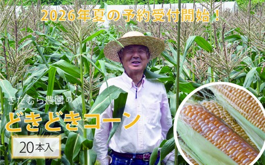 2026年夏の早期予約受付開始！きたむら農園『どきどきコーン』×20本セット（約8～8.5kg相当）生で食べられる信濃町名産とうもろこし／スイートコーンの新定番品種 令和8年7月下旬～8月下旬に出荷予定 【長野県信濃町ふるさと納税】