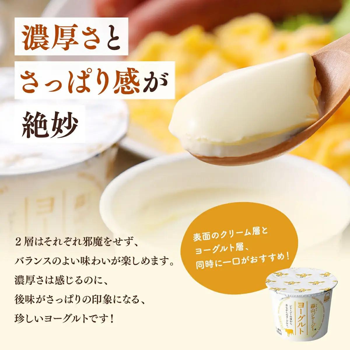ヨーグルト 蒜山ジャージーヨーグルト10個 スイーツ 【hiru024-01】