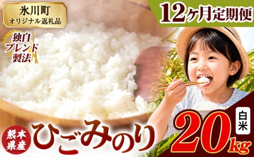 【12ヶ月定期便】ひごみのり 白米 熊本県産 ブレンド米 20kg 熊本県産 ふるさと納税  精米 米 こめ ふるさとのうぜい コメ お米 おこめ《お申込み翌月から出荷》