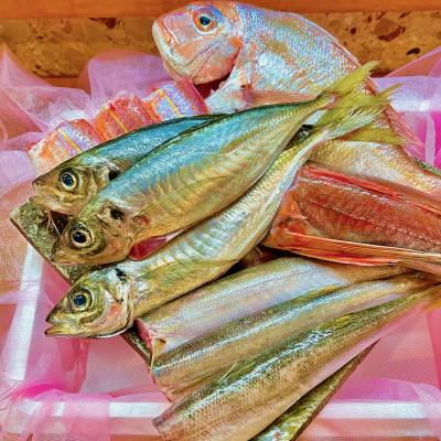 ふるさと納税 有田川町 料理店直送 漁師がすすめ料理人がさばく!船上買付のお魚詰め合わせ 体験!魚料理39BOX 5〜6人前 |  | 03