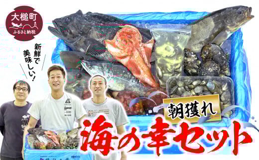 朝獲れ海の幸セット（旬の鮮魚、海藻などの詰合せ）　鮮魚 詰め合わせ 海鮮 魚介 魚貝 新鮮 旬 お楽しみ おすすめ 