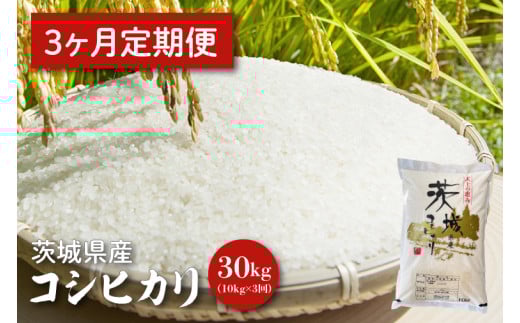 【令和6年産】【３ヵ月定期便】茨城県産コシヒカリ 10kg×3【定期便 お米 ごはん こしひかり 老舗 米屋 おにぎり ごはん 茨城県 水戸市 30キロ】(HQ-85)