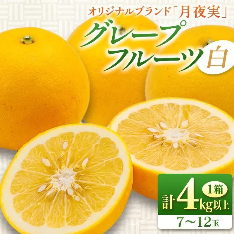 【ふるなび限定】★テレビで紹介された★ 先行予約 グレープフルーツ 月夜実 白 つくよみ 計4kg以上_BB122-23