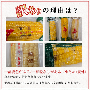 ＜先行予約受付中＞北海道士別市産！訳あり！朝採りレトルトスイートコーン(10本) 【2026年11月以降発送予定】北海道産 北海道 士別市 とうもろこし トウモロコシ とうきび レトルト 【三栄アグリ
